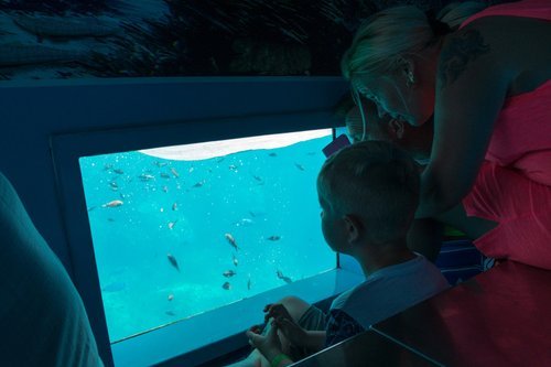 boat trip around the Port of Mahon